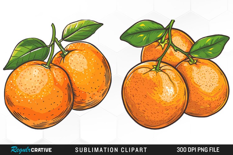 Oranges Clipart Image 24
