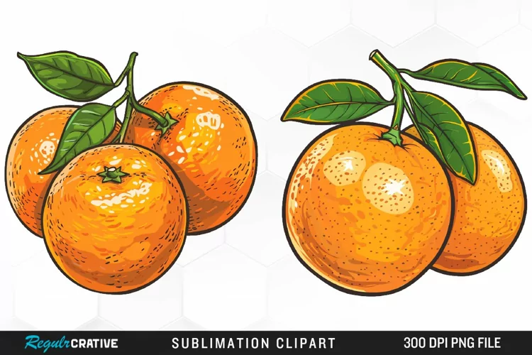 Watercolor Oranges Artwork Clipart