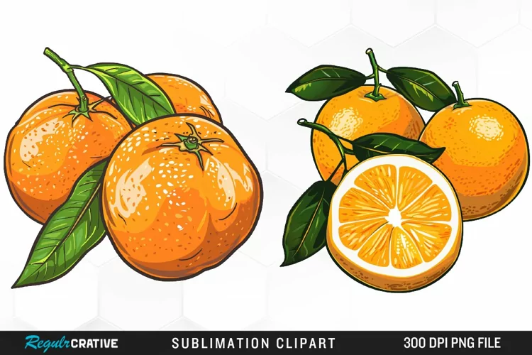 Watercolor Oranges Artwork Clipart