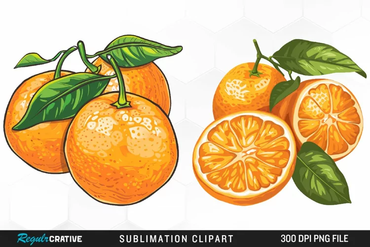 Watercolor Oranges Artwork Clipart