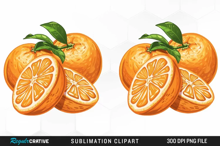 Watercolor Oranges Illustration Clipart