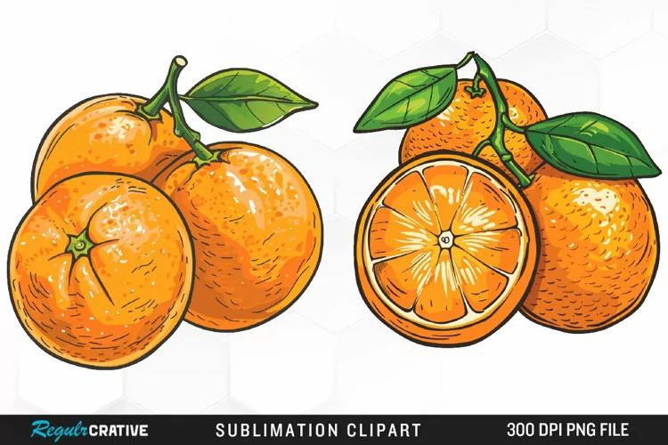 Watercolor Oranges Artwork Clipart