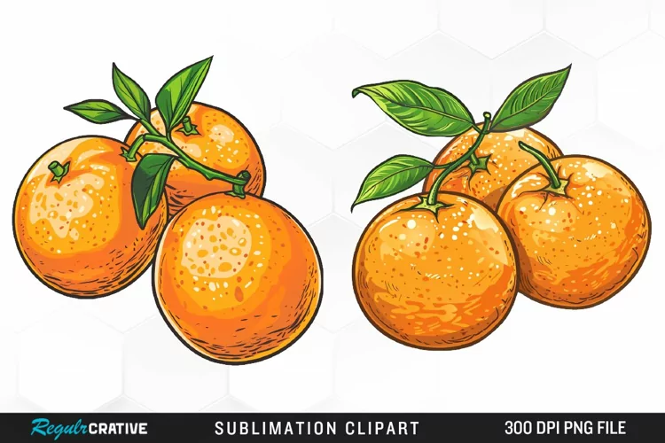 Watercolor Oranges Illustration Clipart