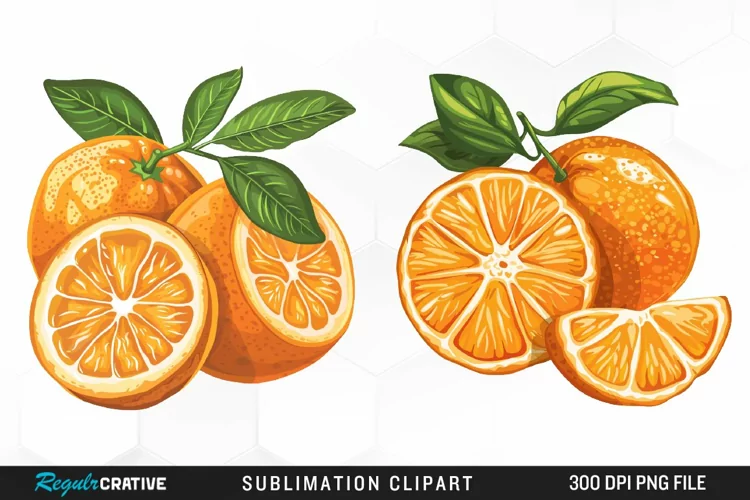 Watercolor Oranges Illustration Clipart