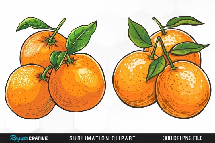 Watercolor Oranges Illustration Clipart