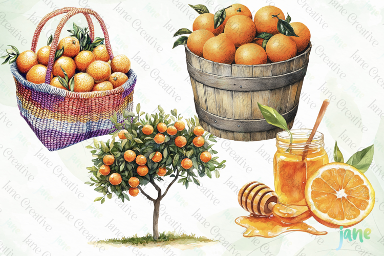 Watercolor Oranges Clipart Sublimation