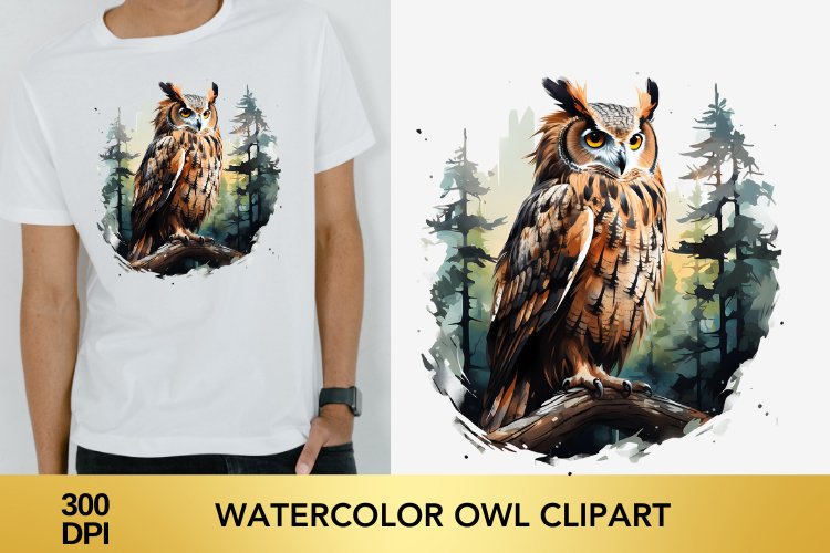 Watercolor Owl Clipart, Owl Sublimation