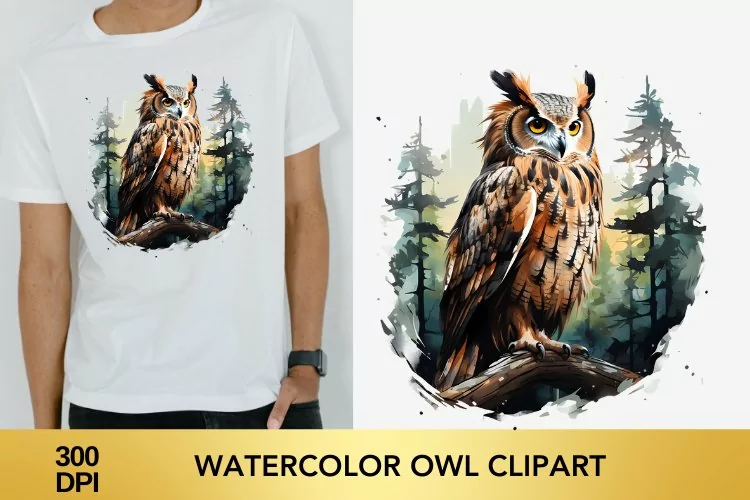 Watercolor Owl Clipart, Owl Sublimation