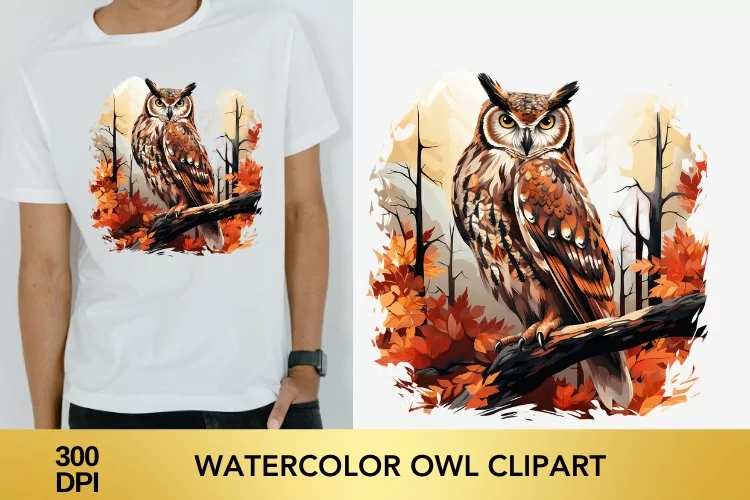 Watercolor Owl Clipart, Owl Sublimation