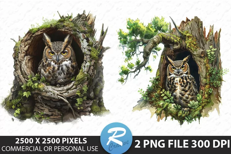 Watercolor Owl Sublimation PNG Clipart