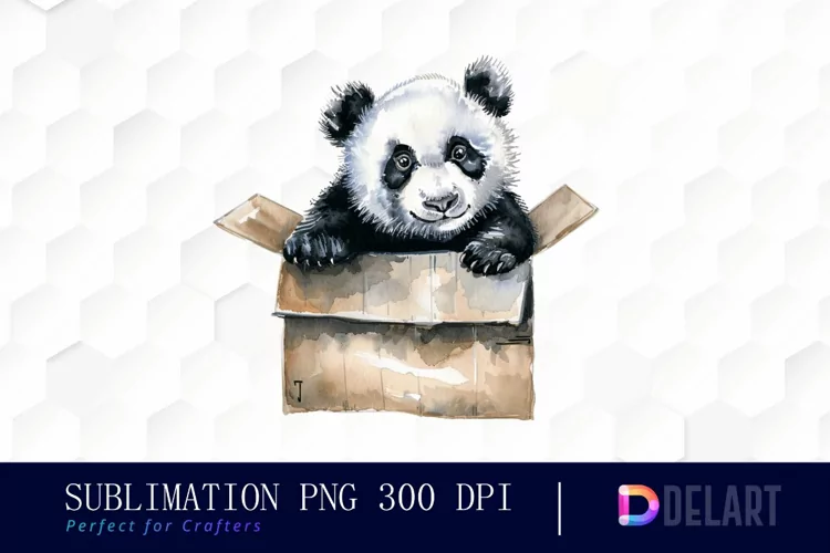 Panda In Box Illustration Clipart