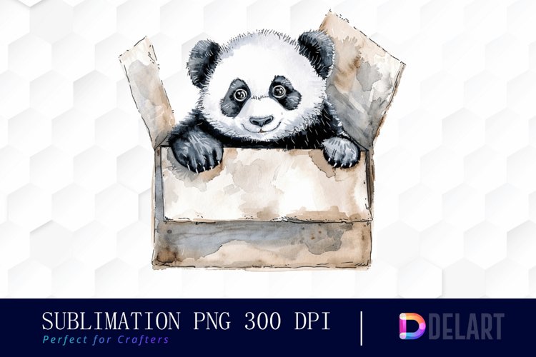 Panda In Box Illustration Clipart