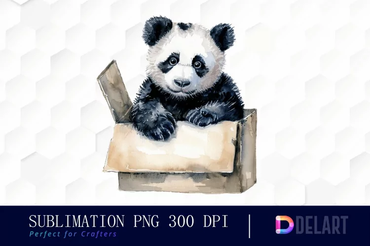Panda In Box Illustration Clipart