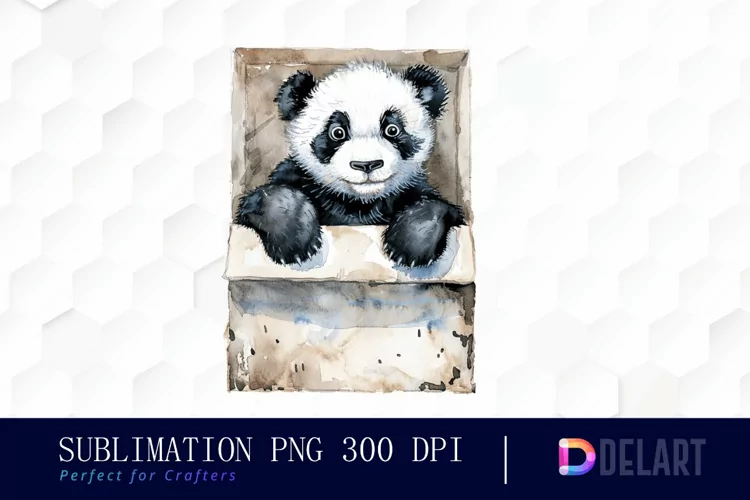Panda In Box Graphics Clipart