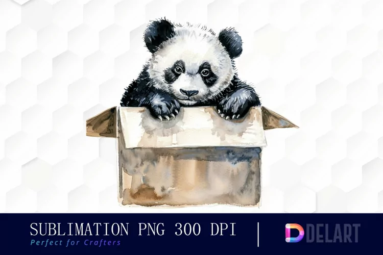 Panda In Box Illustration Clipart