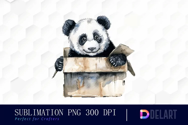Panda In Box Illustration Clipart