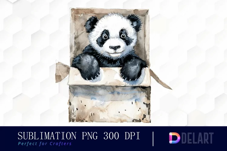 Panda In Box Illustration Clipart