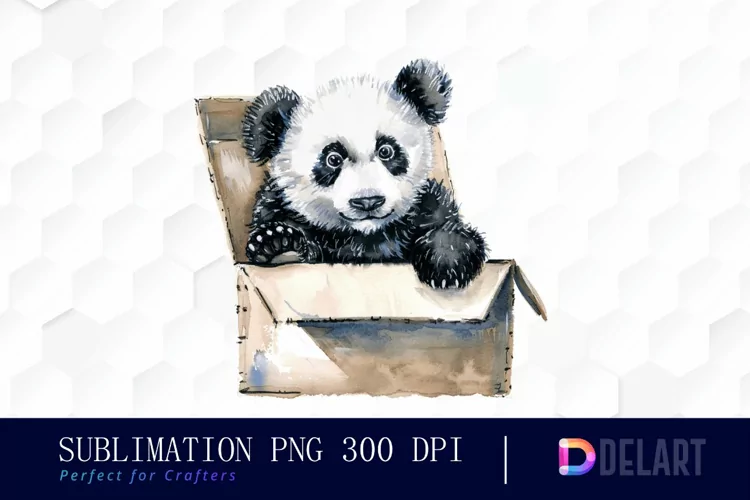 Panda In Box Graphics Clipart