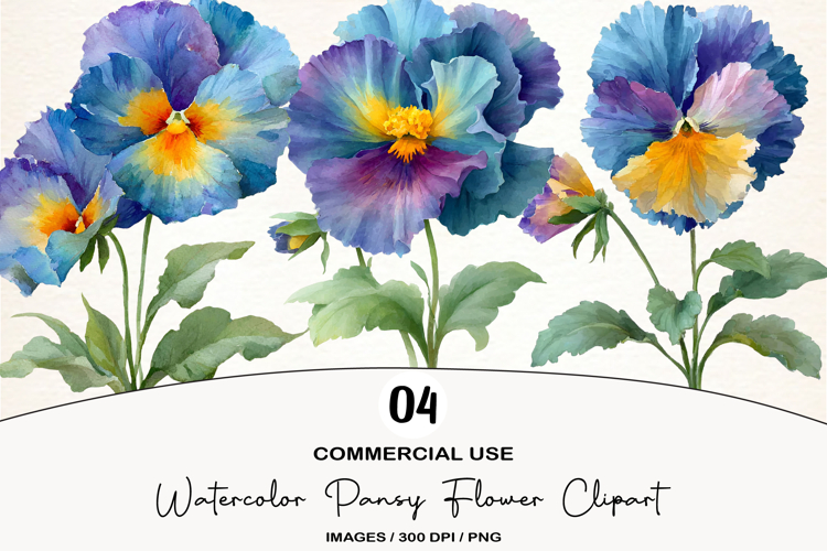 Watercolor Pansy Flower Clipart