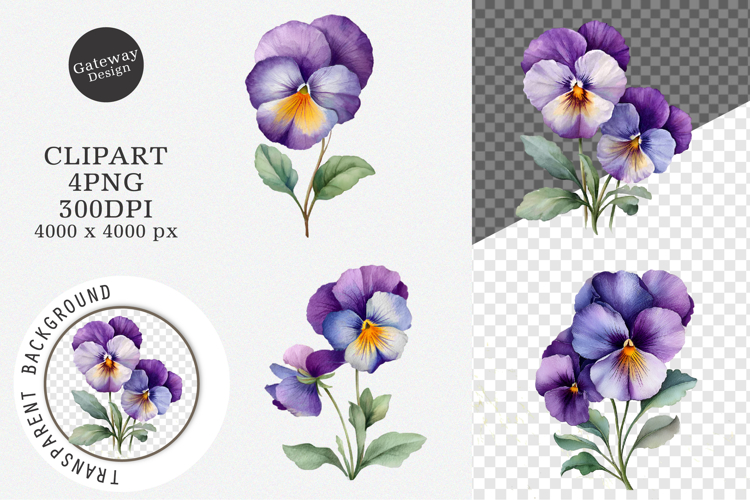 Watercolor Pansy Flowers Clipart