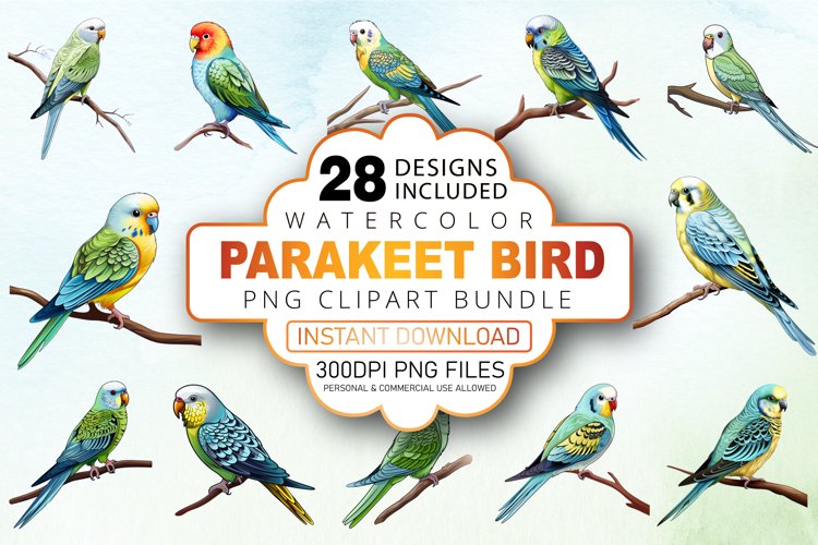 Parrot Illustration Image 21