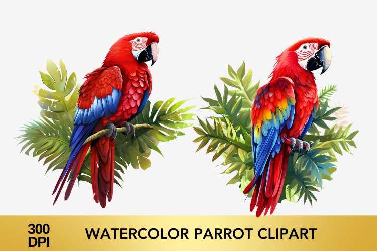 Parrot Png Image 20