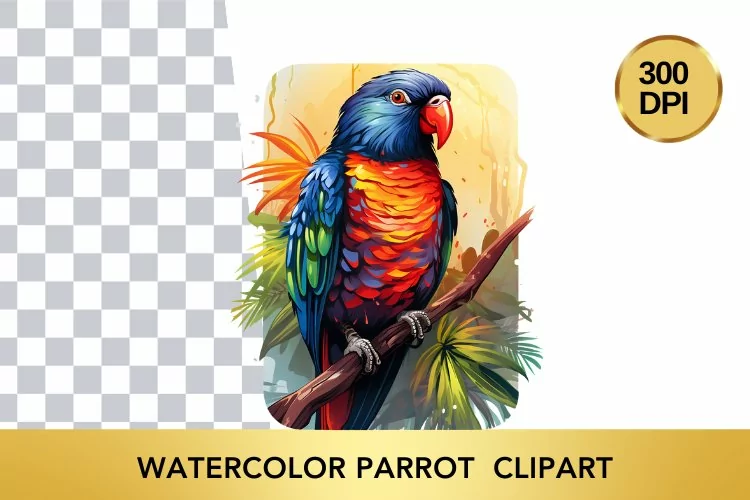 Watercolor parrot Clipart , Animal Sublimation PNG