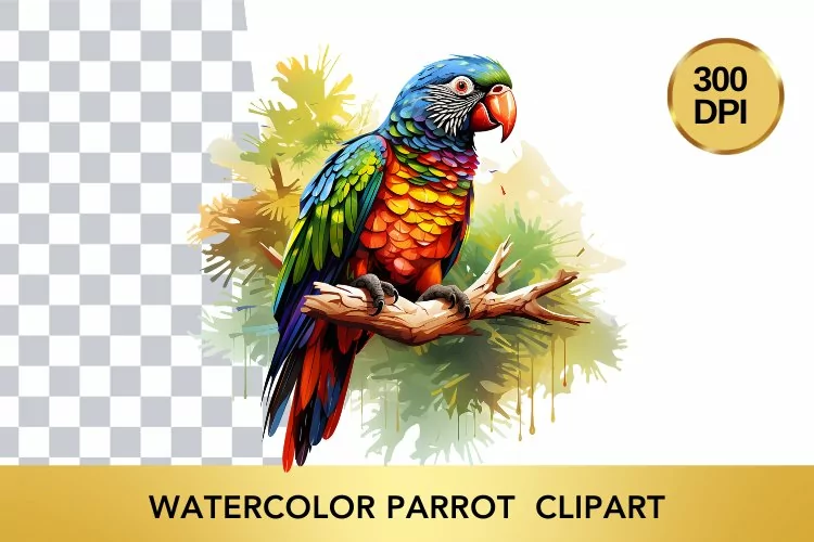 Watercolor parrot Clipart , Animal Sublimation PNG