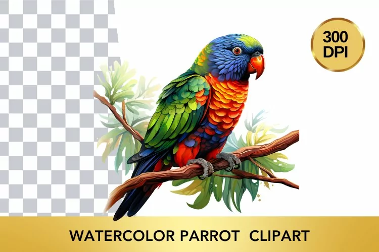 Watercolor parrot Clipart , Animal Sublimation PNG