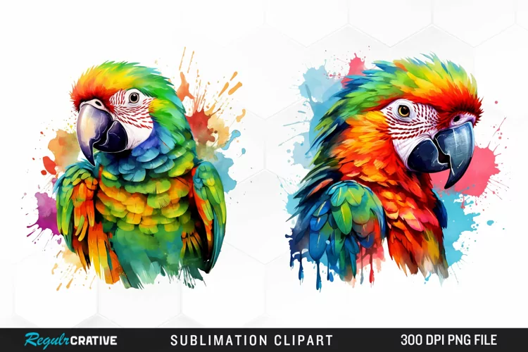 Watercolor Parrot Sublimation PNG Clipart
