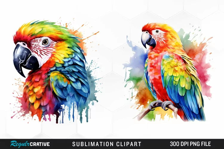 Watercolor Parrot Sublimation PNG Clipart