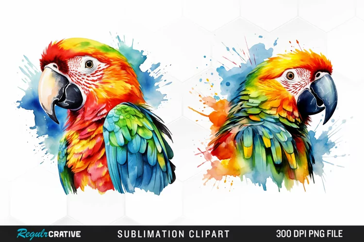 Watercolor Parrot Sublimation PNG Clipart
