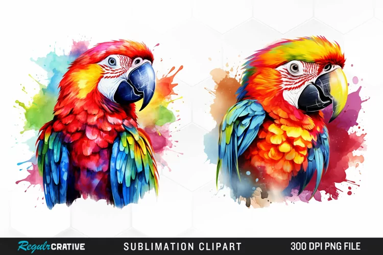 Watercolor Parrot Sublimation PNG Clipart