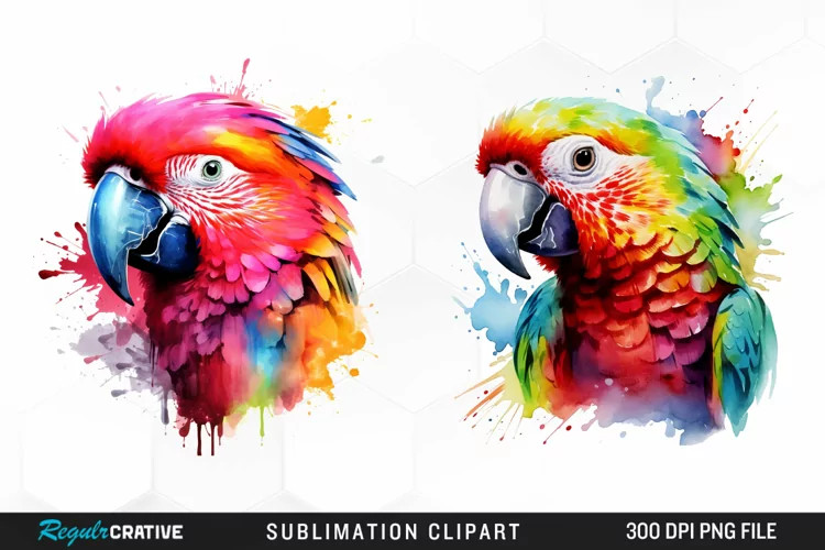 Watercolor Parrot Sublimation PNG Clipart