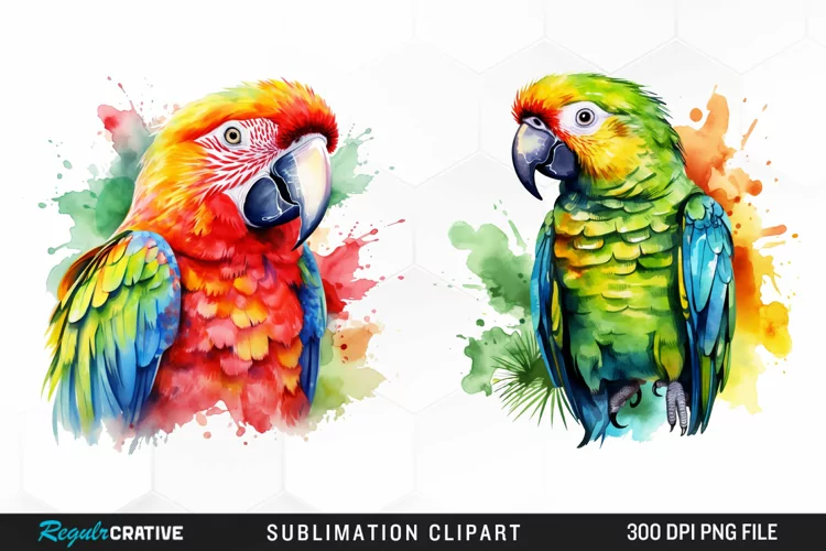 Watercolor Parrot Sublimation PNG Clipart