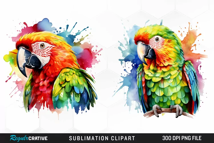Watercolor Parrot Sublimation PNG Clipart