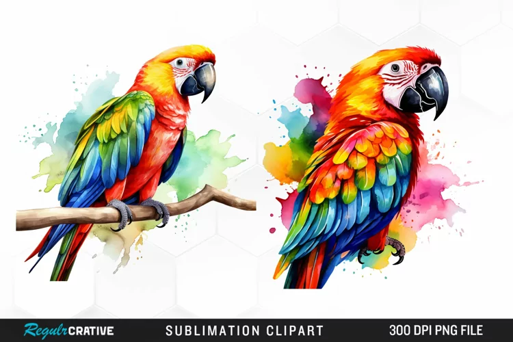 Watercolor Parrots Design Clipart