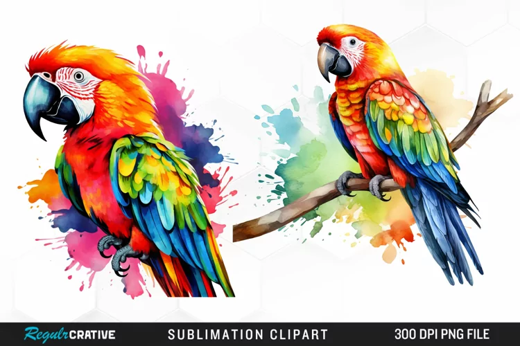 Watercolor Parrots Design Clipart