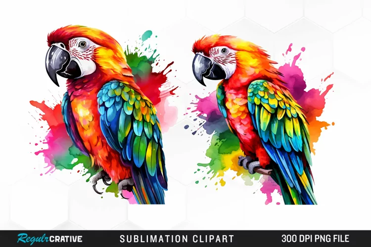 Watercolor Parrots Design Clipart