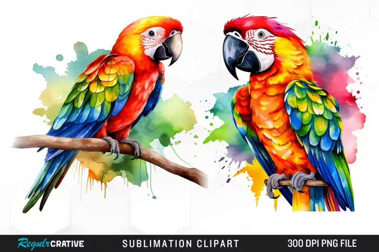 Watercolor Parrots Design Clipart
