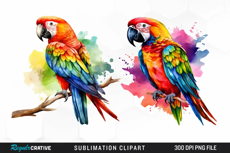 Watercolor Parrots Design Clipart