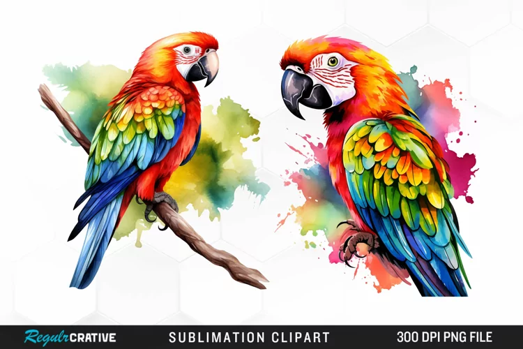 Watercolor Parrots Design Clipart