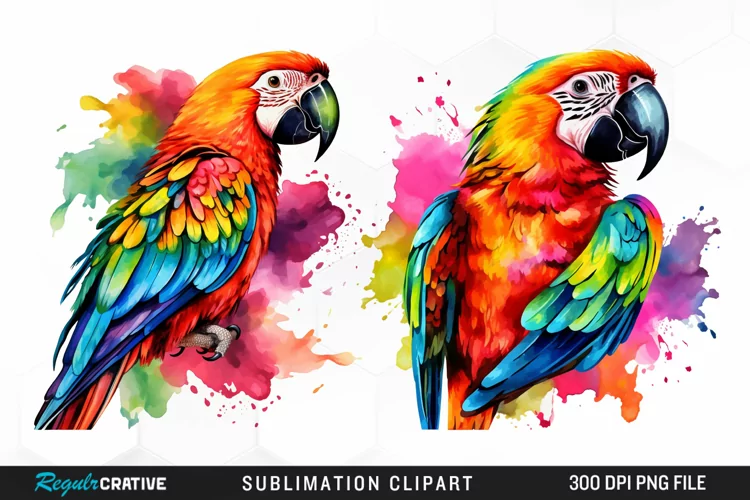 Watercolor Parrots Design Clipart