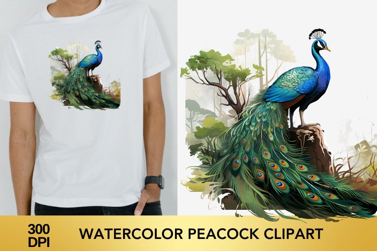 Peacock Png Image 4