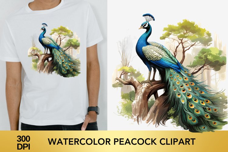 Peacock Png Image 3