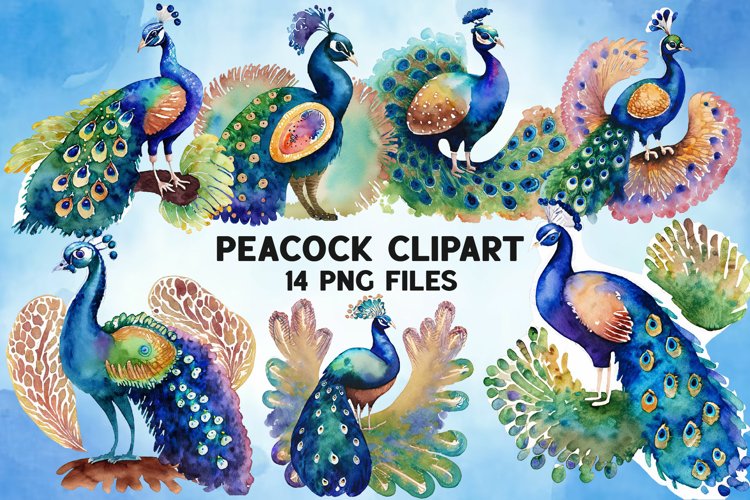 Bird Graphic Image 17