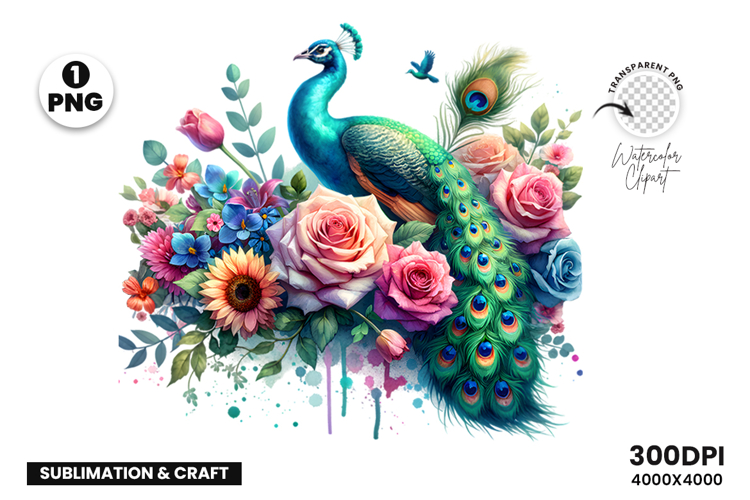 Watercolor Peacock Clipart PNG Sublimation Design