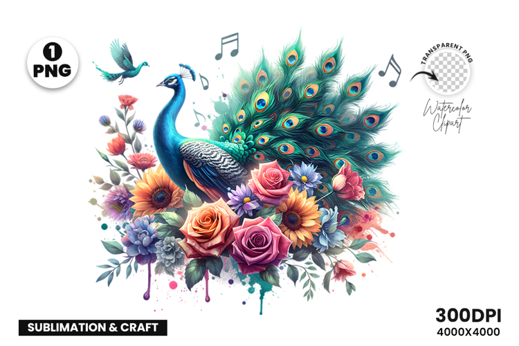 Watercolor Peacock Clipart PNG Sublimation Design