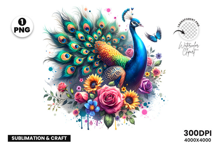 Watercolor Peacock Clipart PNG Sublimation Design