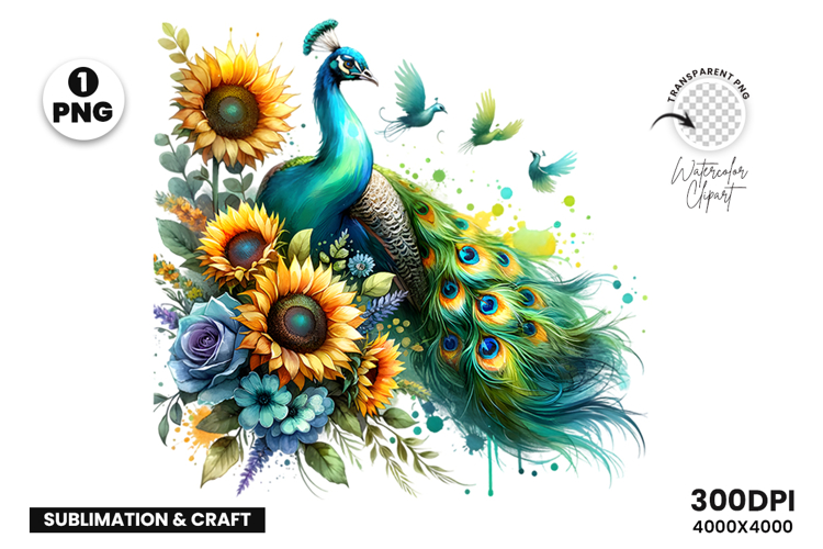 Watercolor Peacock Clipart PNG Sublimation Design